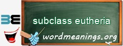 WordMeaning blackboard for subclass eutheria